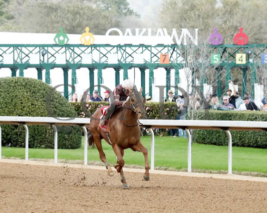 RED ROUTE ONE - The Essex Handicap G3 - 03-22-25 - R10 - OP - Finish 04 Oaklawn Park