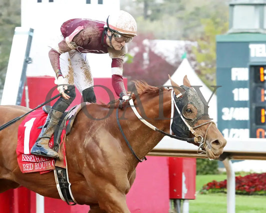 RED ROUTE ONE - The Essex Handicap G3 - 03-22-25 - R10 - OP - Finish 03 Oaklawn Park