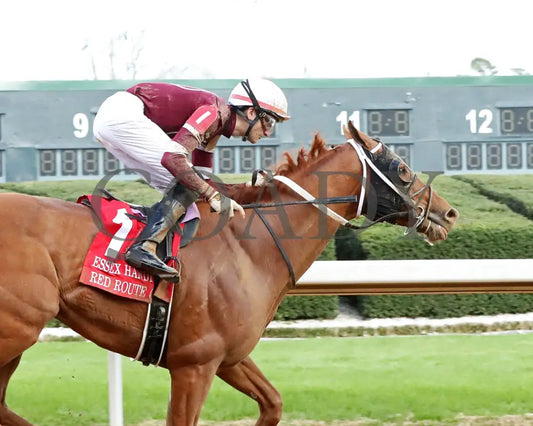 RED ROUTE ONE - The Essex Handicap G3 - 03-22-25 - R10 - OP - Gallop Out 01 Oaklawn Park