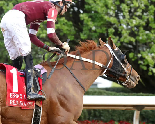 RED ROUTE ONE - The Essex Handicap G3 - 03-22-25 - R10 - OP - Gallop Out 02 Oaklawn Park
