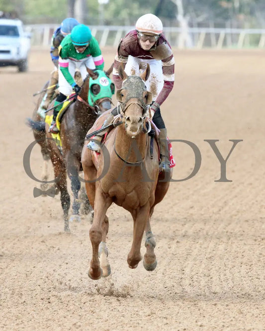 RED ROUTE ONE - The Essex Handicap G3 - 03-22-25 - R10 - OP - Gallop Out 03 Oaklawn Park