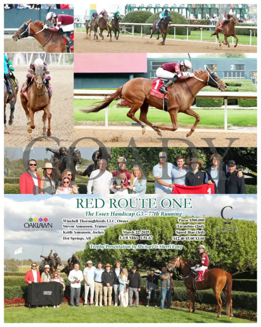 RED ROUTE ONE - The Essex Handicap G3 - 03-22-25 - R10 - OP Oaklawn Park