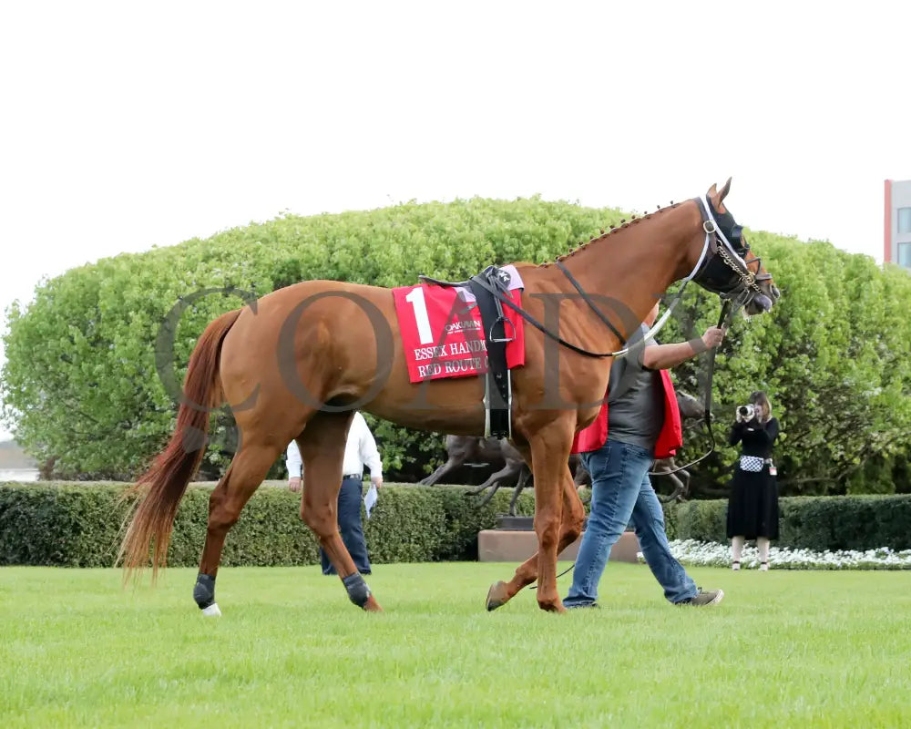 RED ROUTE ONE - The Essex Handicap G3 - 03-22-25 - R10 - OP - Paddock 01 Oaklawn Park