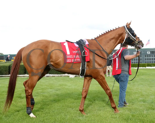 RED ROUTE ONE - The Essex Handicap G3 - 03-22-25 - R10 - OP - Paddock 02 Oaklawn Park