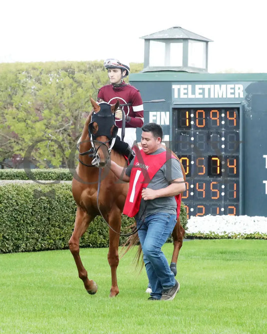 RED ROUTE ONE - The Essex Handicap G3 - 03-22-25 - R10 - OP - Paddock 04 Oaklawn Park