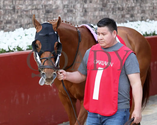 RED ROUTE ONE - The Essex Handicap G3 - 03-22-25 - R10 - OP - Paddock 05 Oaklawn Park