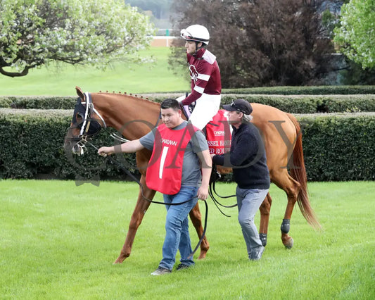 RED ROUTE ONE - The Essex Handicap G3 - 03-22-25 - R10 - OP - Paddock 08 Oaklawn Park