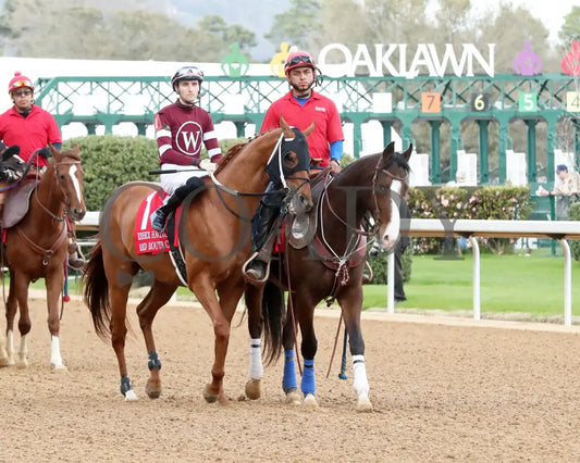 RED ROUTE ONE - The Essex Handicap G3 - 03-22-25 - R10 - OP - Post Parade 01 Oaklawn Park