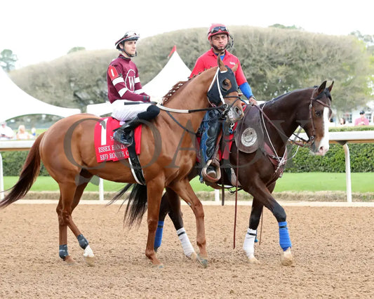 RED ROUTE ONE - The Essex Handicap G3 - 03-22-25 - R10 - OP - Post Parade 02 Oaklawn Park