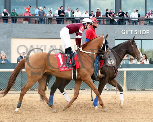 RED ROUTE ONE - The Essex Handicap G3 - 03-22-25 - R10 - OP - Post Parade 04 Oaklawn Park