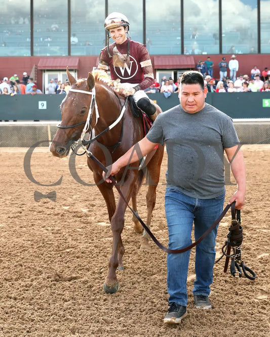 RED ROUTE ONE - The Essex Handicap G3 - 03-22-25 - R10 - OP - Walk In 01 Oaklawn Park
