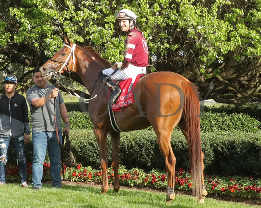RED ROUTE ONE - The Essex Handicap G3 - 03-22-25 - R10 - OP - Winners Circle 01 Oaklawn Park