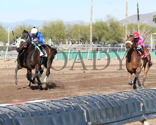 Redline - Walter R Cluer Memorial 02-15-24 R08 Turf Paradise Inside Finish