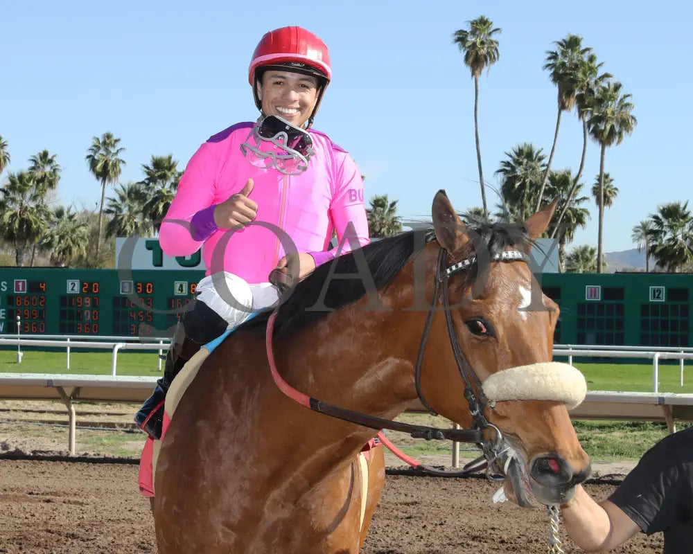 Redline - Walter R Cluer Memorial 02-15-24 R08 Turf Paradise Return Shot 2