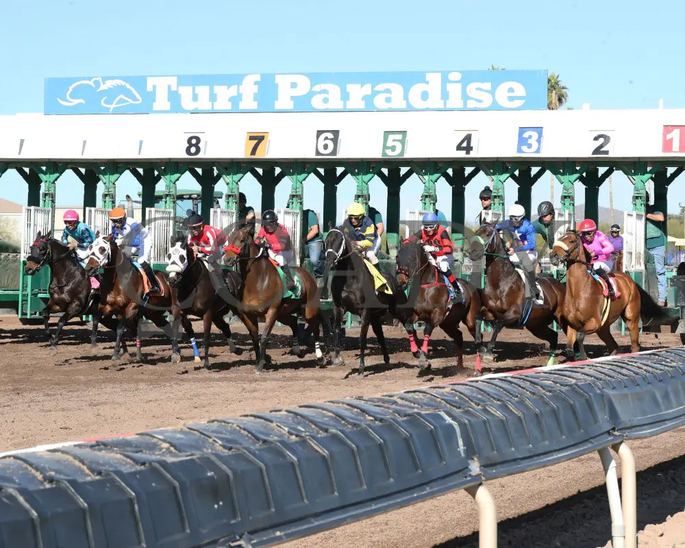 Redline - Walter R Cluer Memorial 02-15-24 R08 Turf Paradise Starting Gate