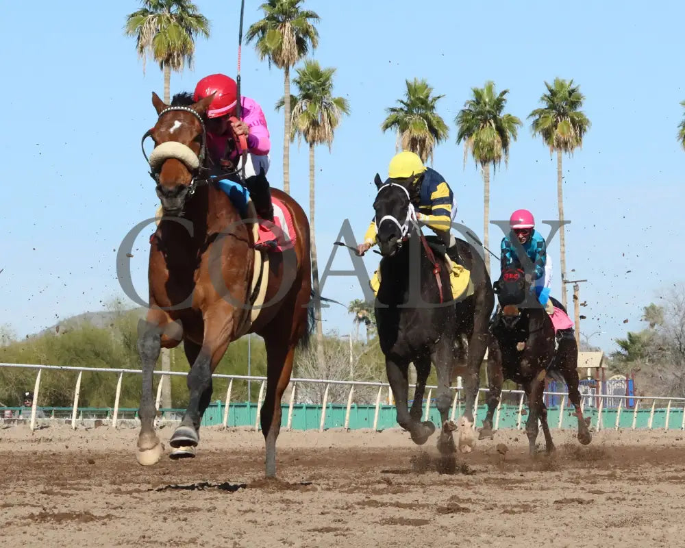 Redline - Walter R Cluer Memorial 02-15-24 R08 Turf Paradise Under Rail