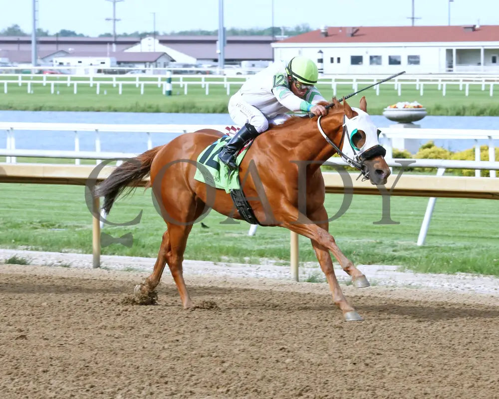 Reflex - Sagamore Sired 10Th Running 05-22-24 R08 Horseshoe Indiana Finish 02 Sammantha Pagels Grand