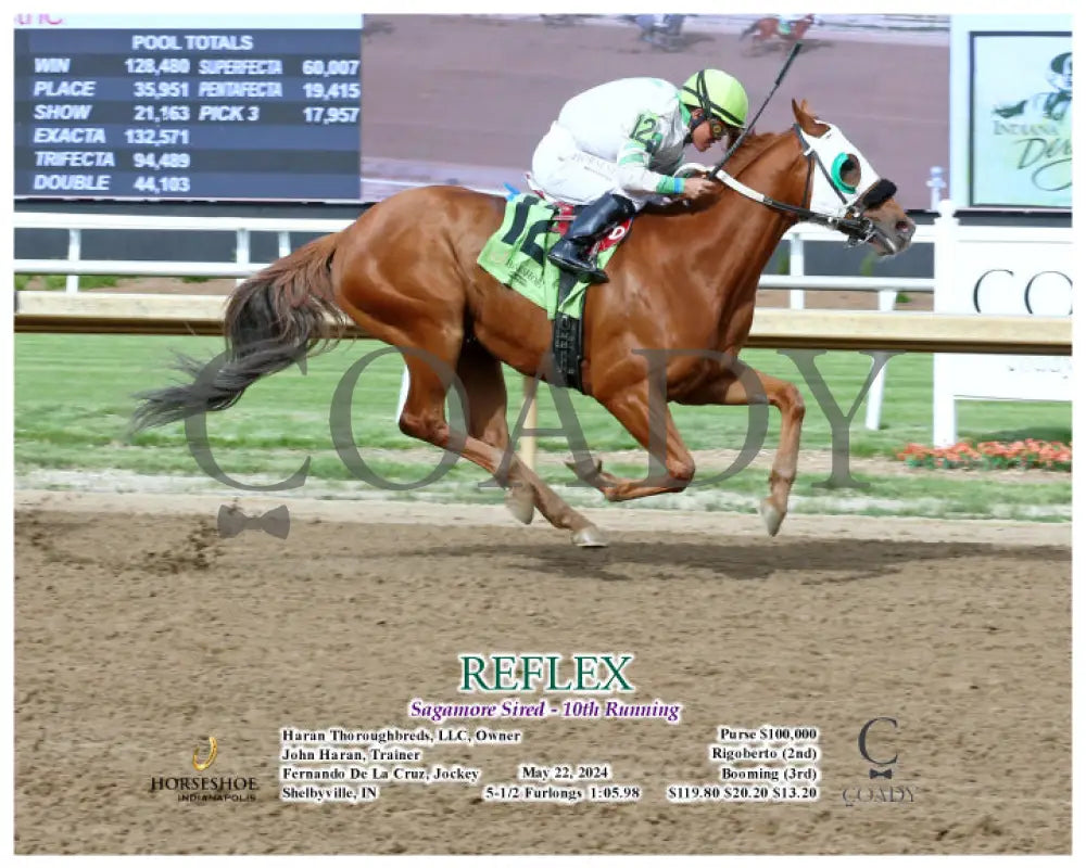 Reflex - Sagamore Sired 10Th Running 05-22-24 R08 Ind Action Indiana Grand