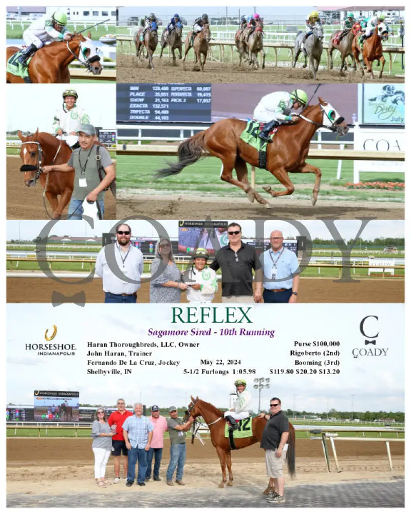 Reflex - Sagamore Sired 10Th Running 05-22-24 R08 Ind Indiana Grand