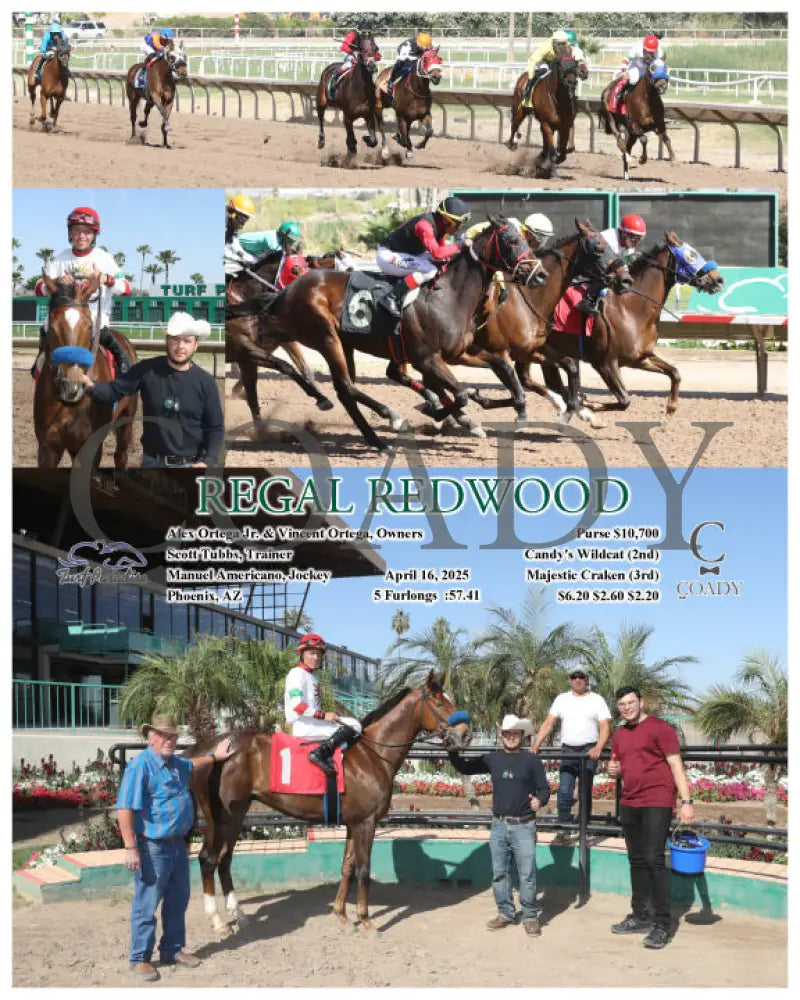 REGAL REDWOOD - 04-16-25 - R06 - TUP Turf Paradise