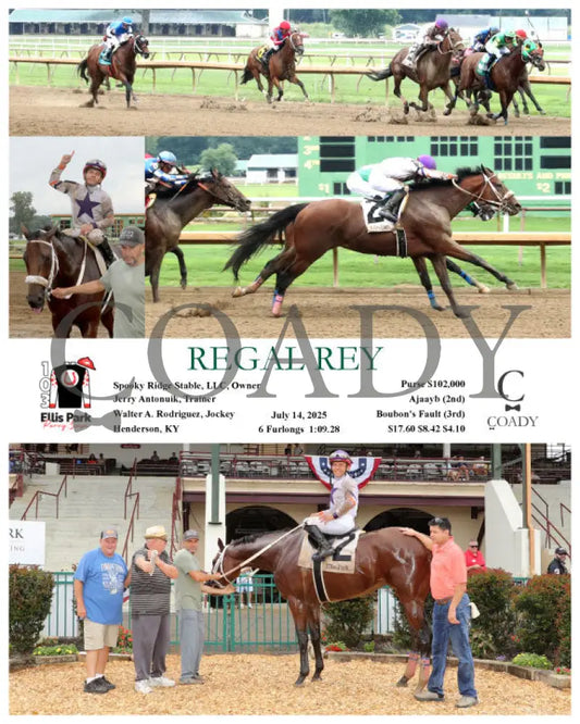 REGAL REY - 07-14-25 - R08 - ELP Ellis Park