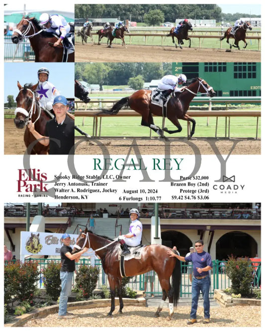 Regal Rey - 08-10-24 R02 Elp Ellis Park