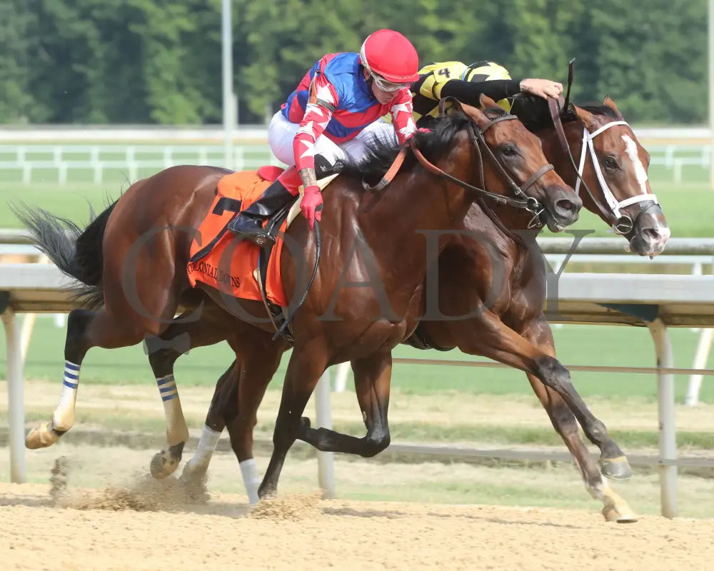 Regalo - The Petramalo Mile 08-11-24 R05 Cnl Finish 02 Colonial Downs