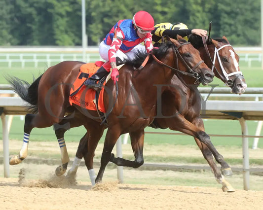 Regalo - The Petramalo Mile 08-11-24 R05 Cnl Finish 02 Colonial Downs