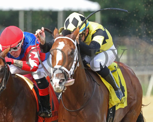 Regalo - The Petramalo Mile 08-11-24 R05 Cnl Inside Finish 01 Colonial Downs