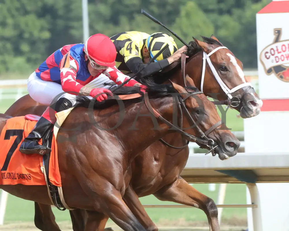 Regalo - The Petramalo Mile 08-11-24 R05 Cnl Tight Finish 01 Colonial Downs