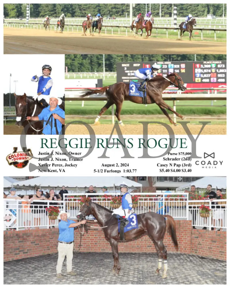 Reggie Runs Rogue - 08-02-24 R03 Cnl Colonial Downs