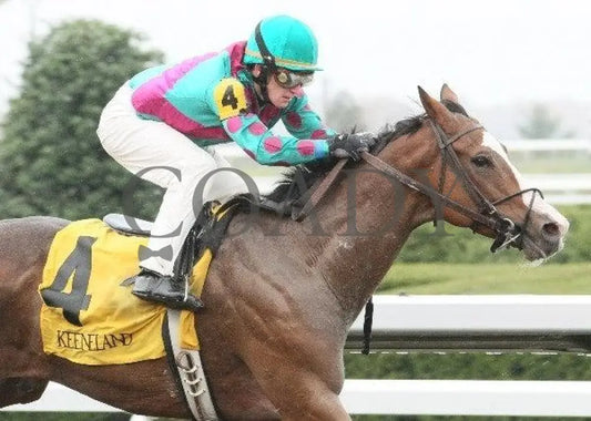 Religious Ed - 1 102811 Race 03 Keeneland