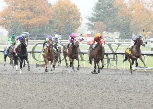 Religious Ed - 2 102811 Race 03 Keeneland