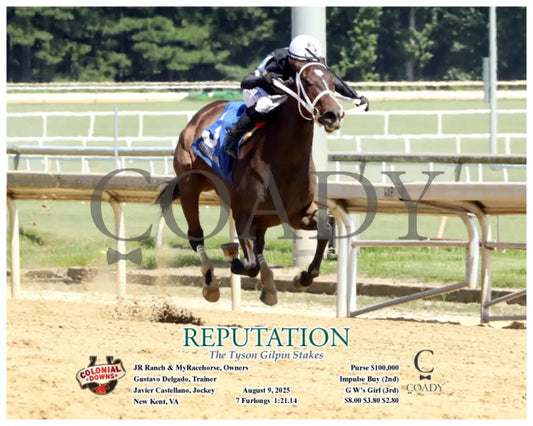 REPUTATION - The Tyson Gilpin Stakes - 08-09-25 - R06 - CNL - Finish 02 Colonial Downs
