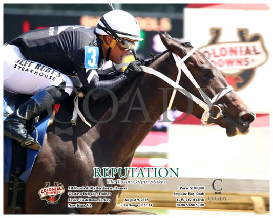 REPUTATION - The Tyson Gilpin Stakes - 08-09-25 - R06 - CNL - Finish 03 Colonial Downs