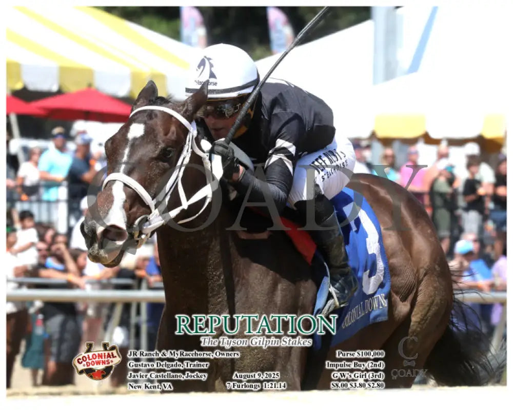 REPUTATION - The Tyson Gilpin Stakes - 08-09-25 - R06 - CNL - Inside Finish 01 Colonial Downs