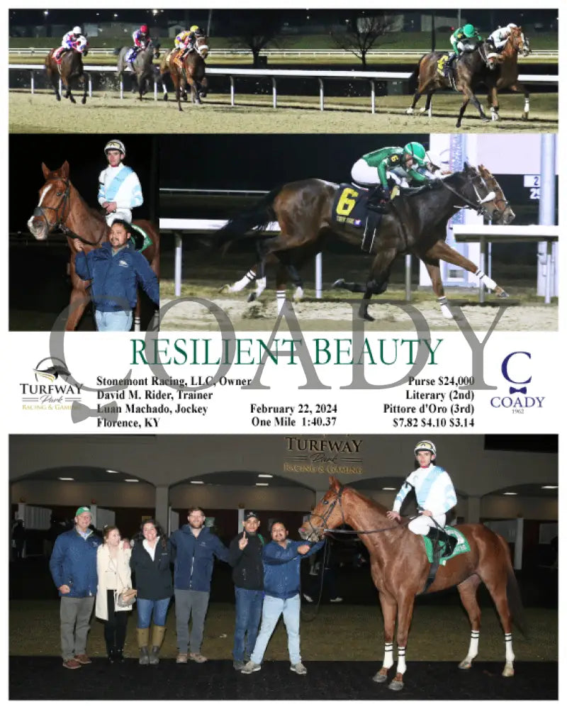 Resilient Beauty - 02-22-24 R06 Tp Turfway Park