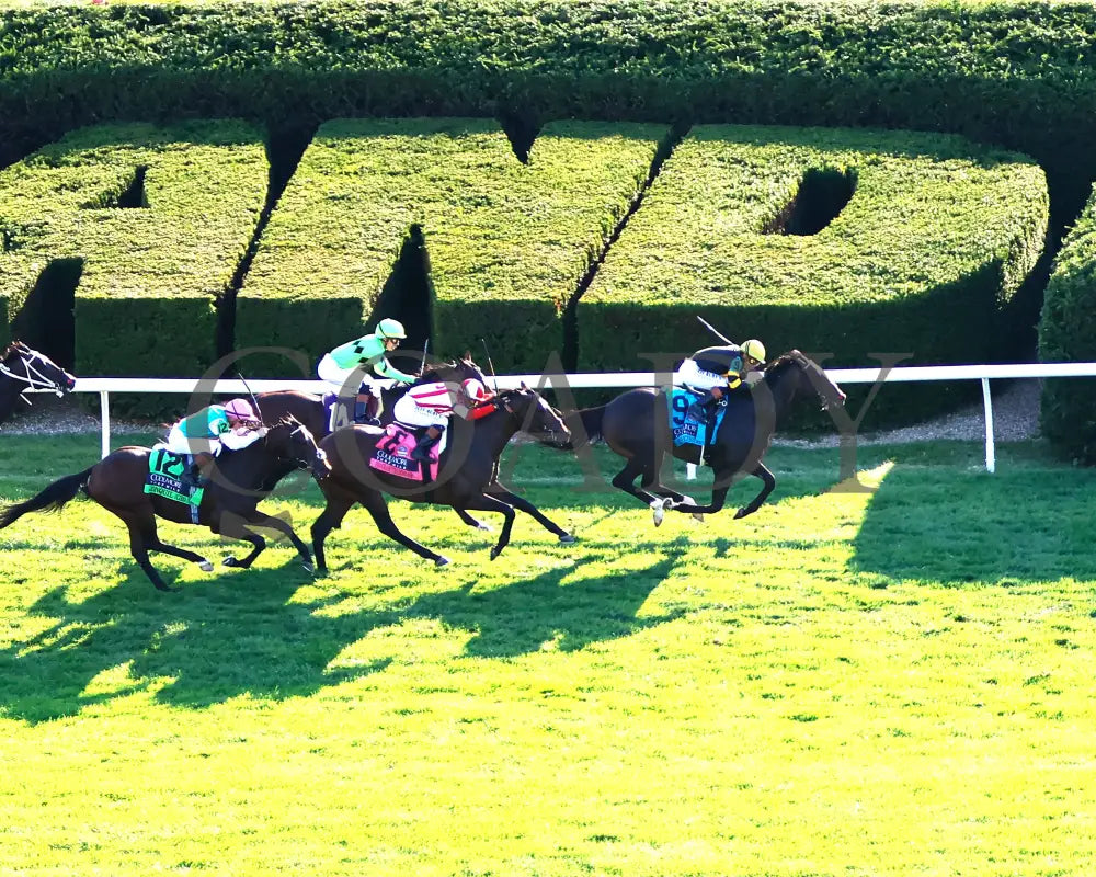 RHETORICAL - 100425 - Race 10 - KEE - Aerial Finish 01 Keeneland