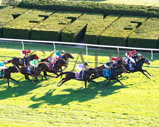 RHETORICAL - 100425 - Race 10 - KEE - Aerial First Pass 02 Keeneland