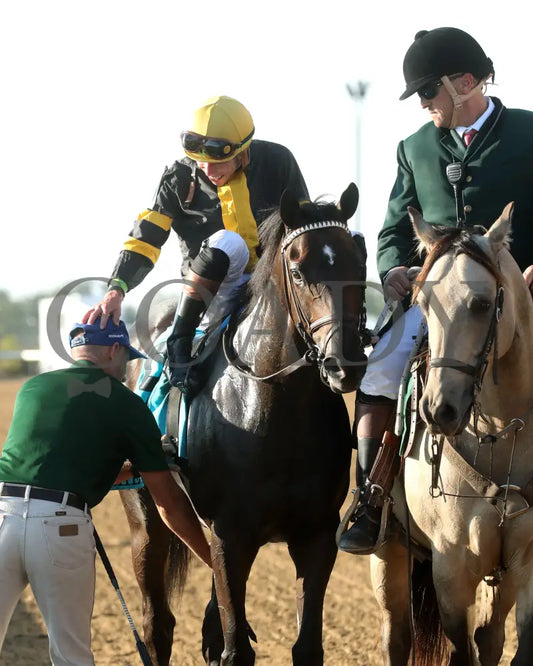 RHETORICAL - 100425 - Race 10 - KEE - Come Back 02 Keeneland