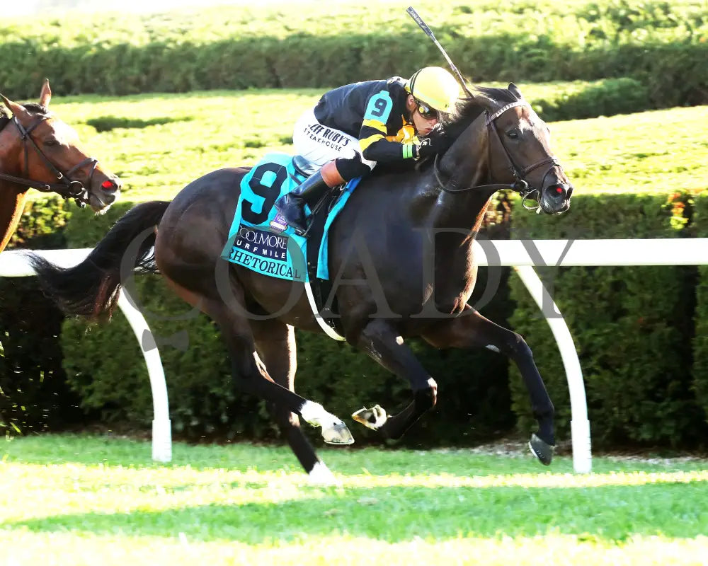 RHETORICAL - 100425 - Race 10 - KEE - Finish 02 Keeneland