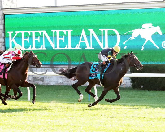 RHETORICAL - 100425 - Race 10 - KEE - Finish 03 Keeneland