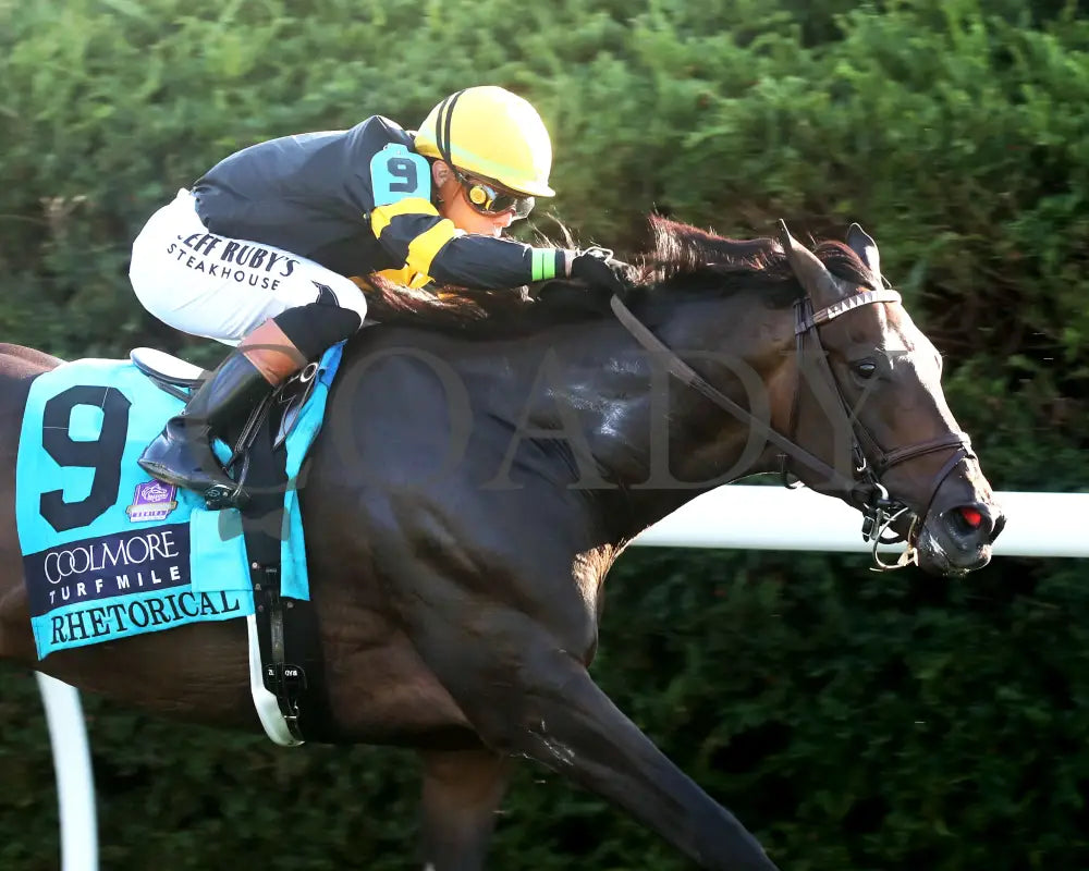 RHETORICAL - 100425 - Race 10 - KEE - Finish 05 Keeneland