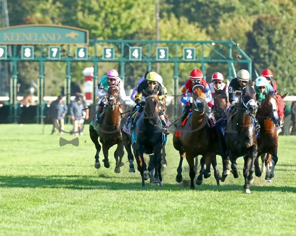 RHETORICAL - 100425 - Race 10 - KEE - First Turn 01 Keeneland
