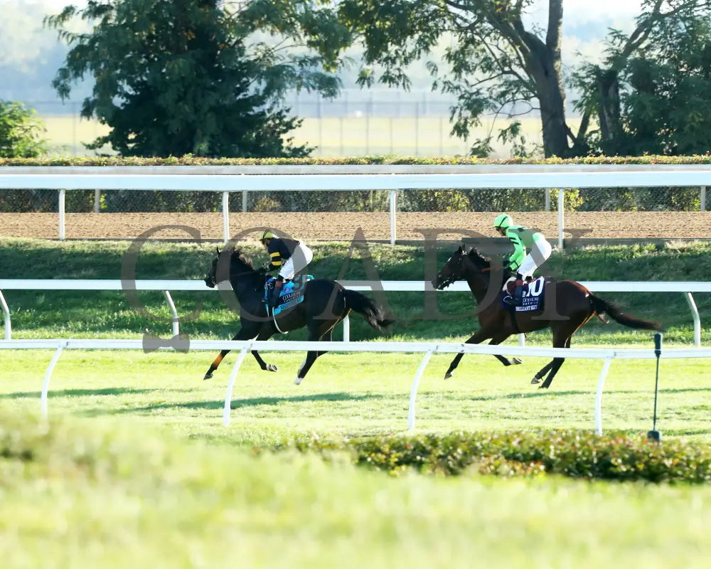 RHETORICAL - 100425 - Race 10 - KEE - Gallop Out 02 Keeneland
