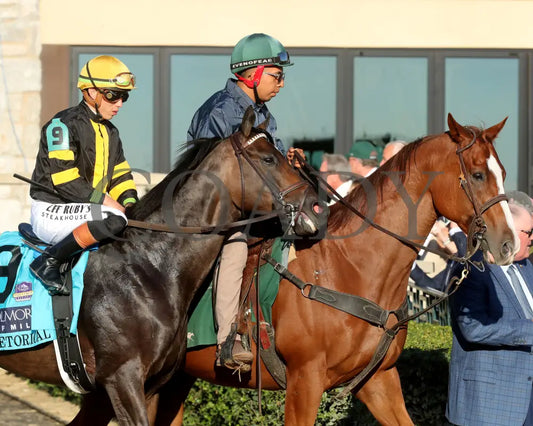 RHETORICAL - 100425 - Race 10 - KEE - Post Parade 01 Keeneland