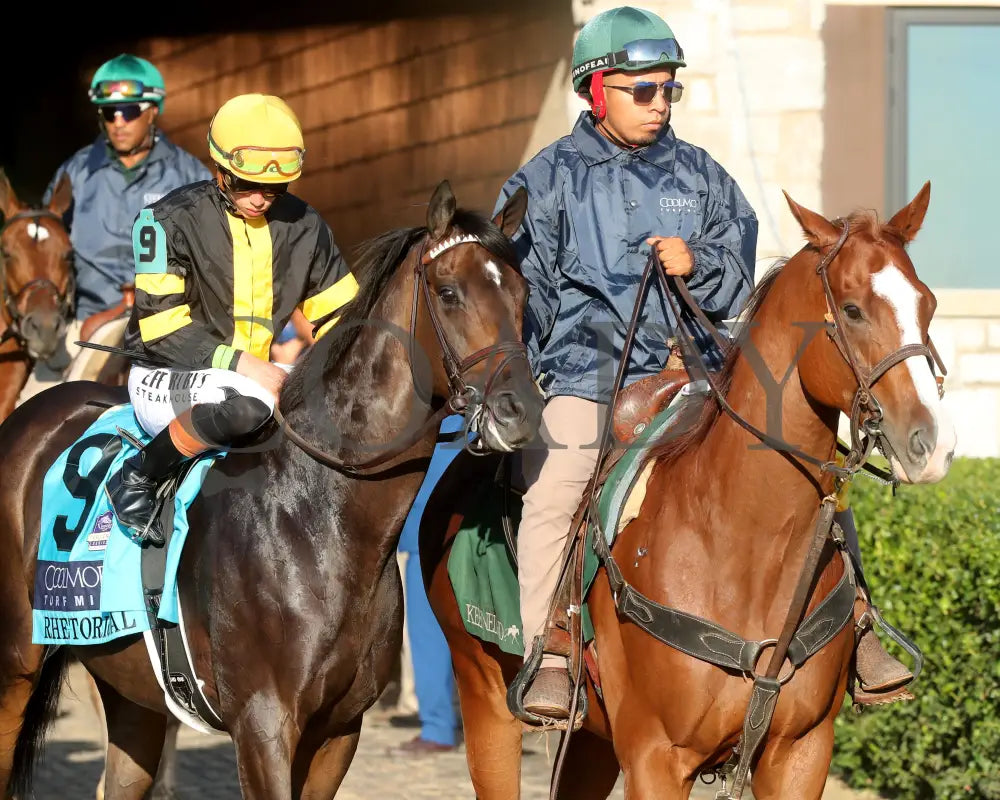RHETORICAL - 100425 - Race 10 - KEE - Post Parade 02 Keeneland