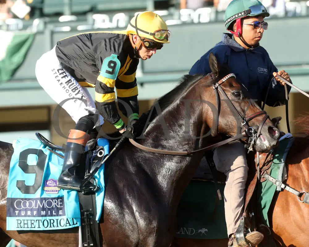 RHETORICAL - 100425 - Race 10 - KEE - Post Parade 03 Keeneland