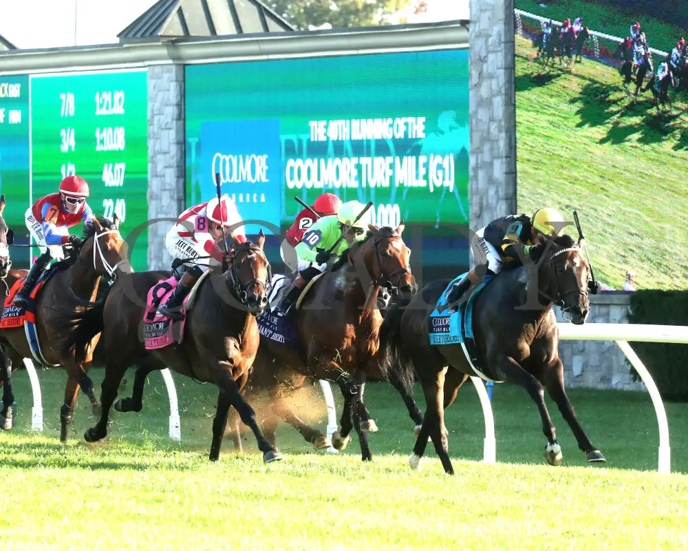 RHETORICAL - 100425 - Race 10 - KEE - Sponsorship 01 Keeneland