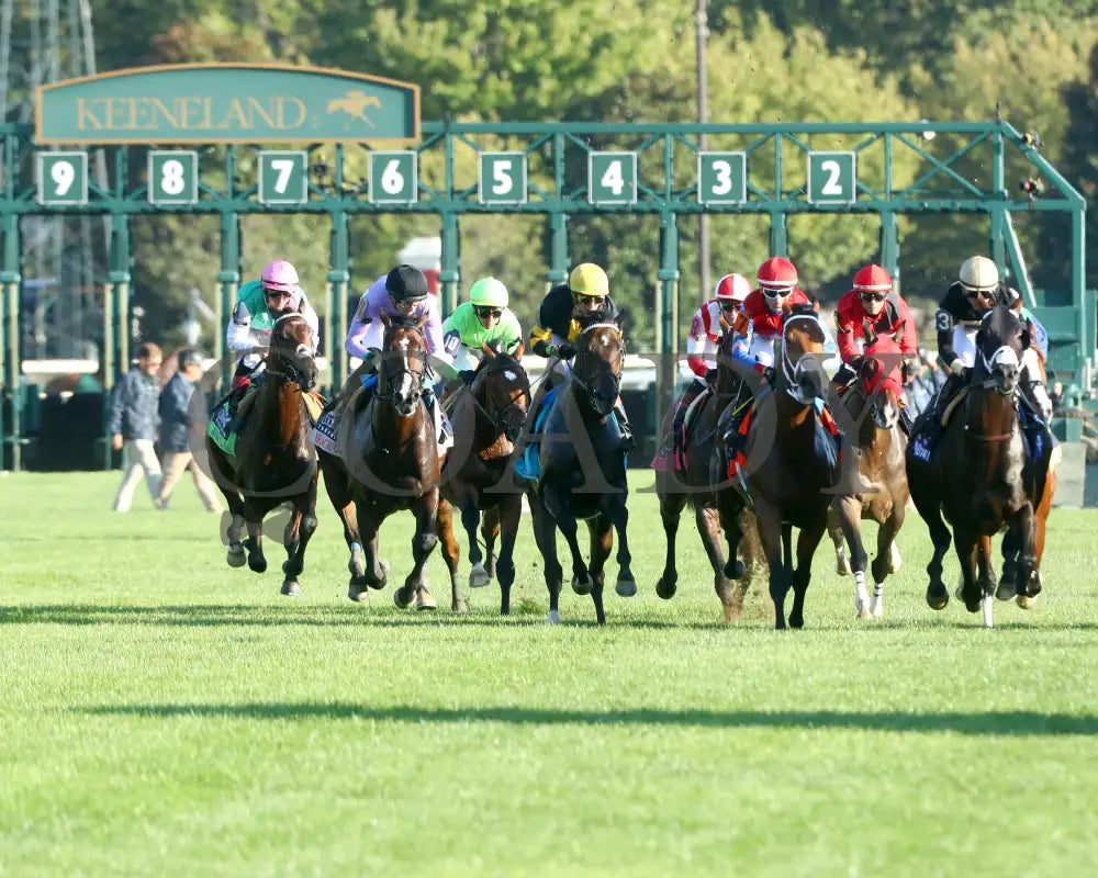 RHETORICAL - 100425 - Race 10 - KEE - Start 01 Keeneland